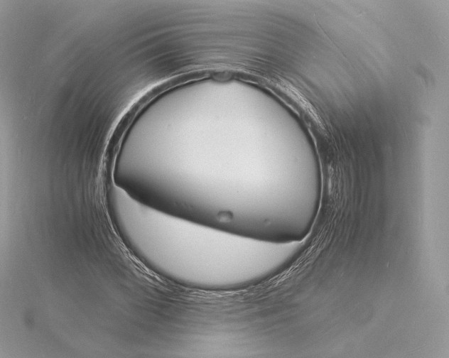 X0000115841068200912041704