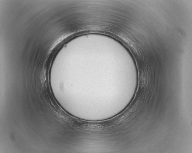 X0000115841070200912041703