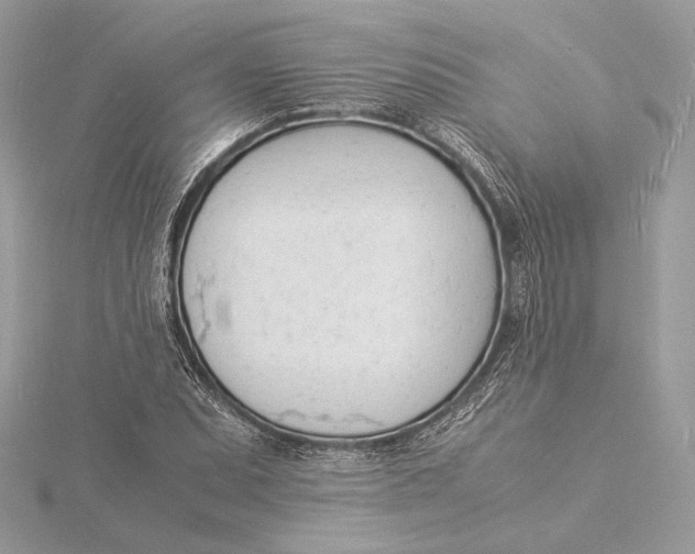 X0000115841071200912041703