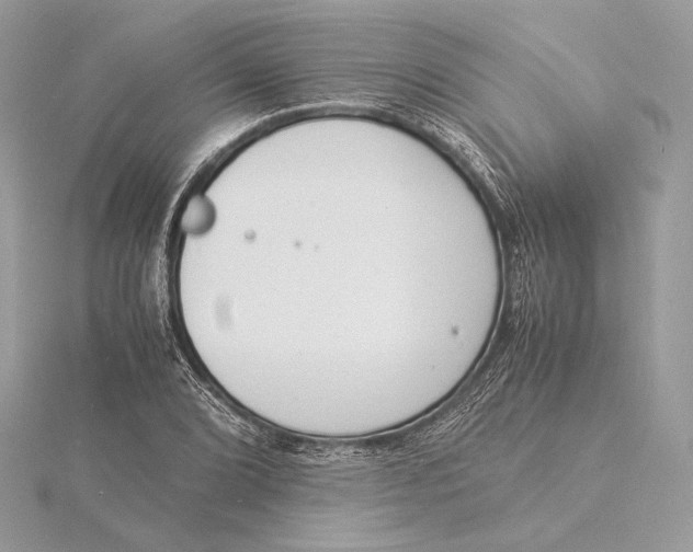 X0000115841072200912041703