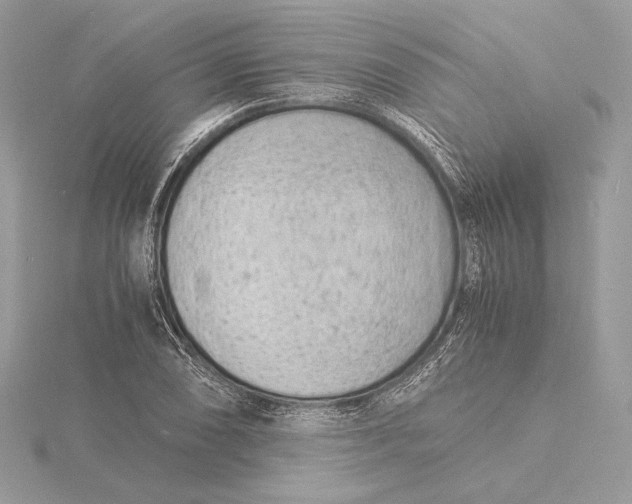 X0000115841074200912041703