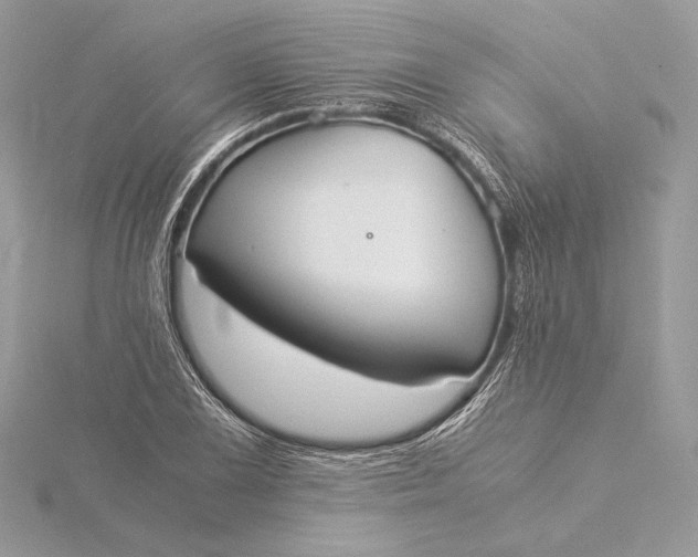 X0000115841075200912041703