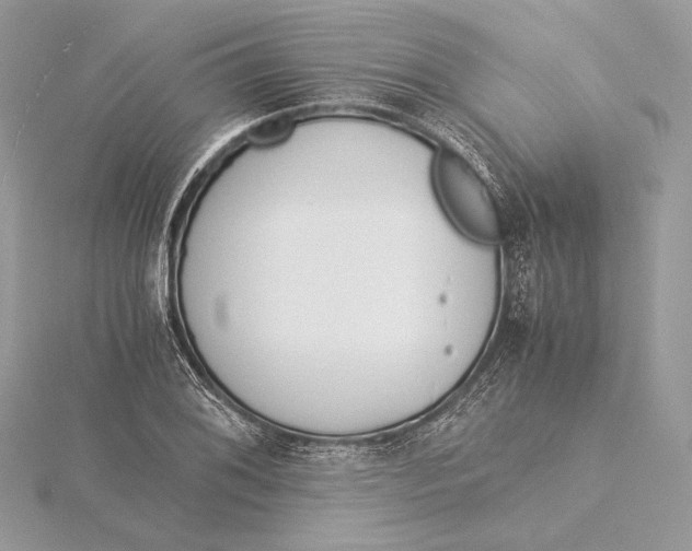 X0000115841076200912041703