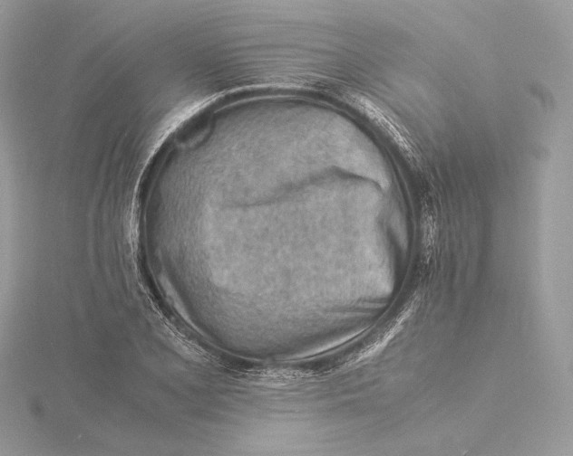 X0000115841077200912041703