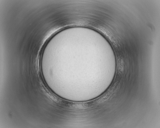 X0000115841078200912041703