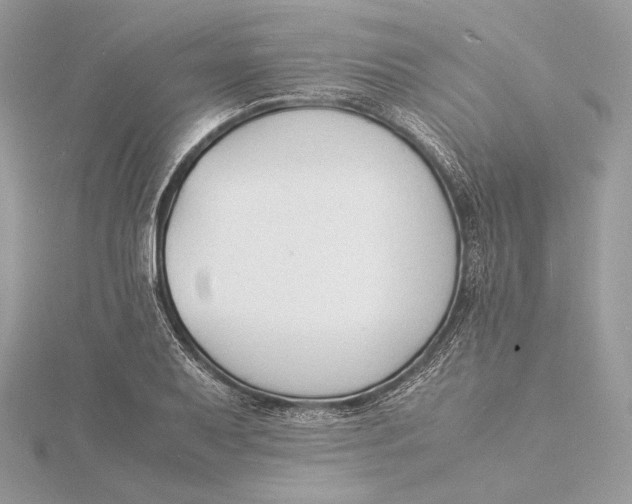 X0000115841079200912041703