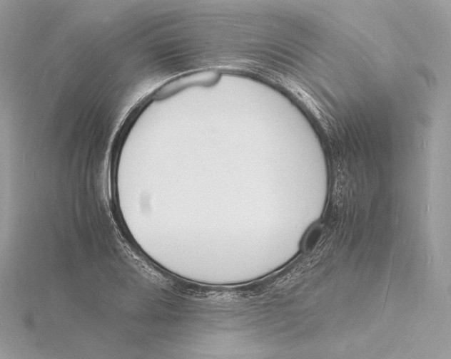 X0000115841080200912041703