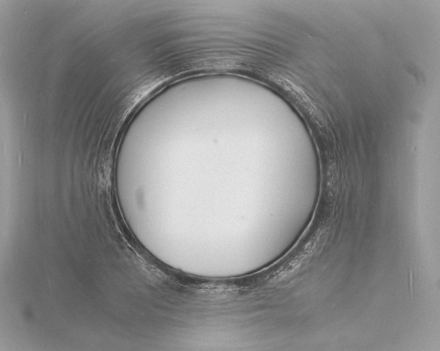 X0000115841081200912041703