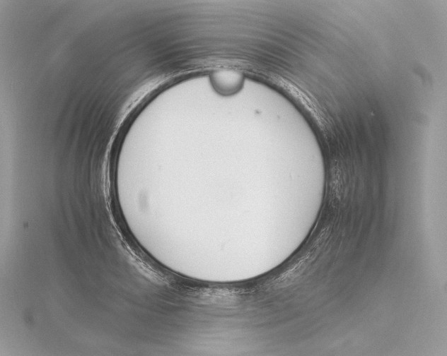 X0000115841082200912041703