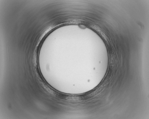 X0000115841083200912041703