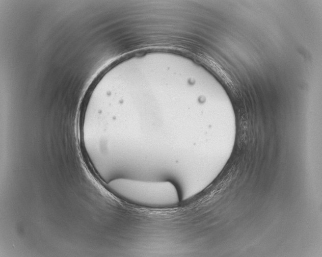 X0000115841084200912041703