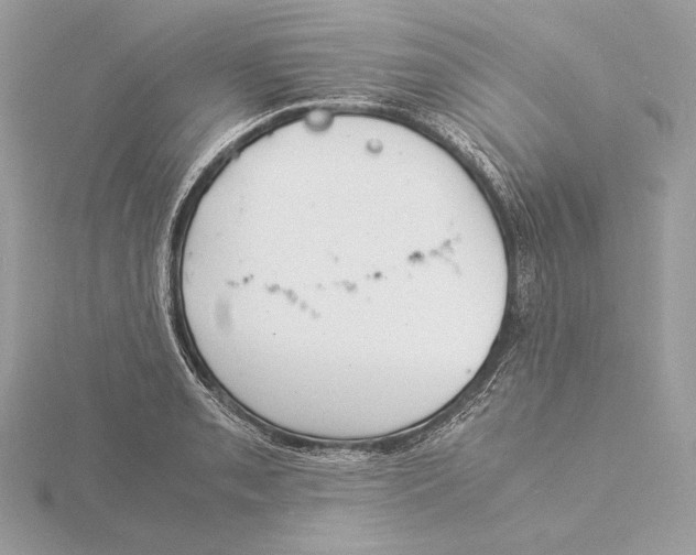 X0000115841085200912041703