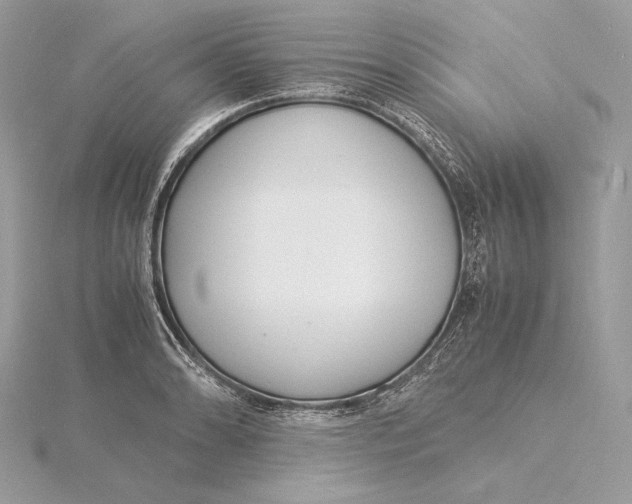 X0000115841086200912041703