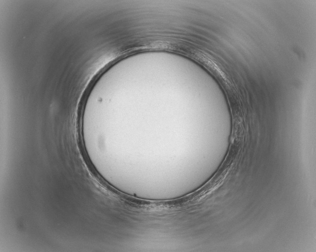 X0000115841087200912041703