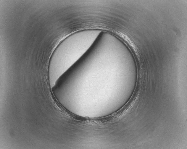 X0000115841089200912041703