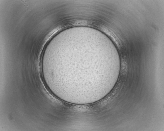 X0000115841090200912041703