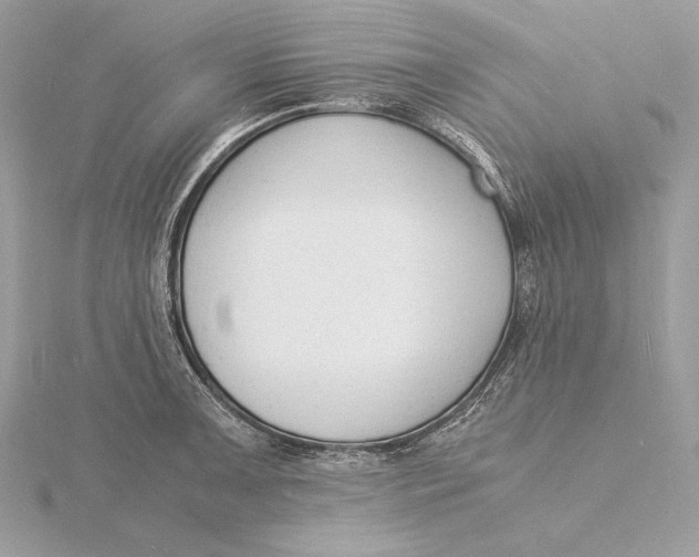 X0000115841091200912041703