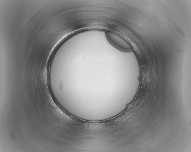 X0000115841092200912041703