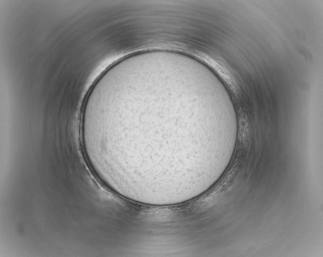 X0000115841094200912041703