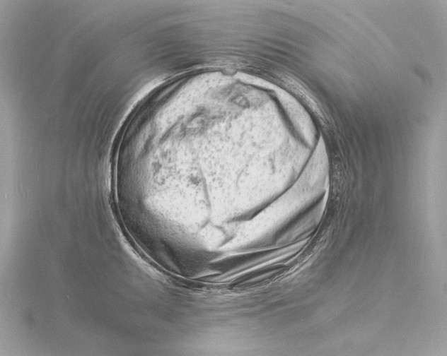 X0000115841095200912041703