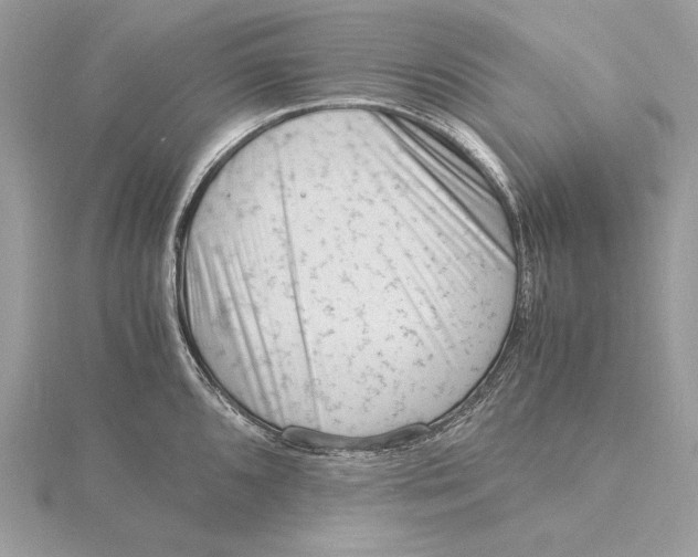 X0000115841096200912041703