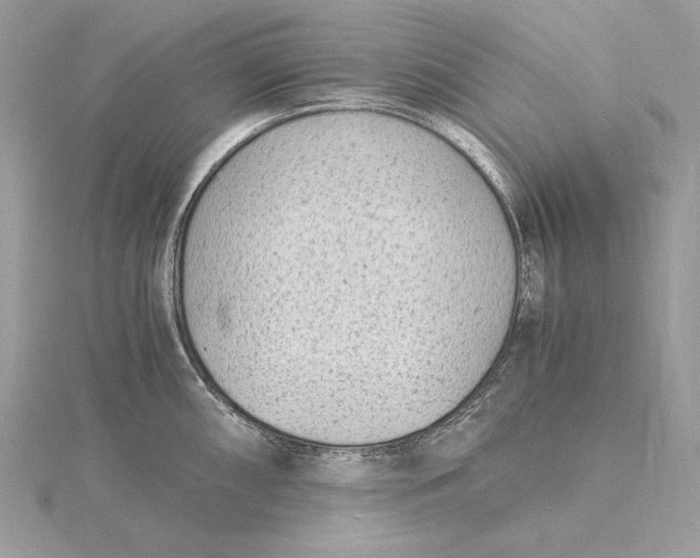 X0000115841098200912041703