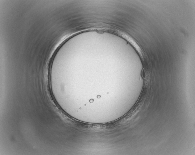 X0000115841099200912041703