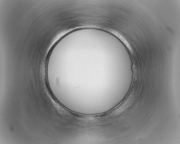 X0000115841101200912041703