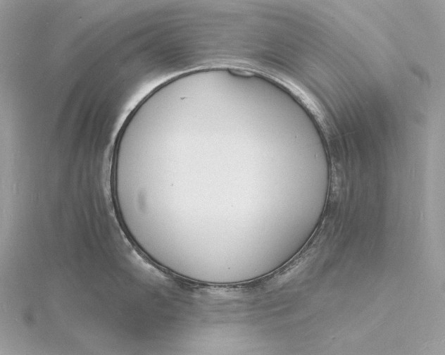 X0000115841102200912041703