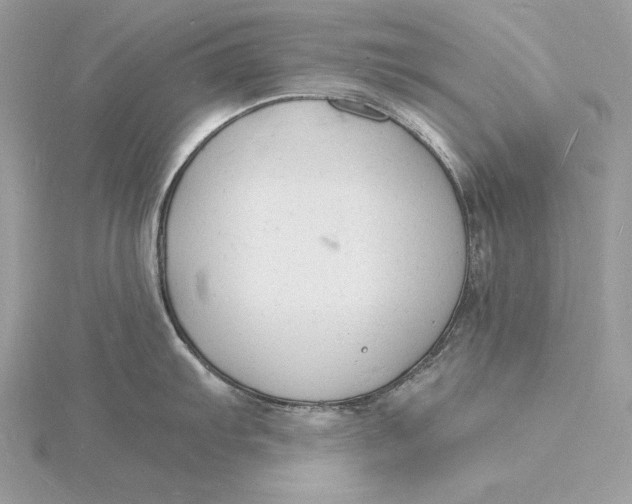 X0000115841103200912041703