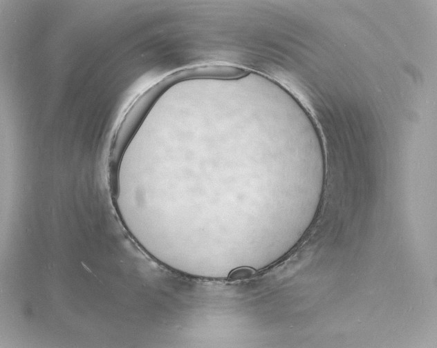 X0000115841104200912041703