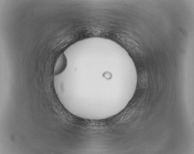 X0000115841105200912041702