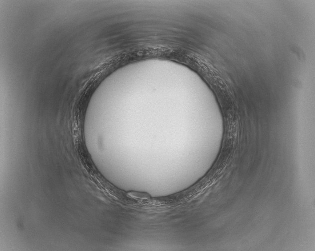 X0000115841109200912041702