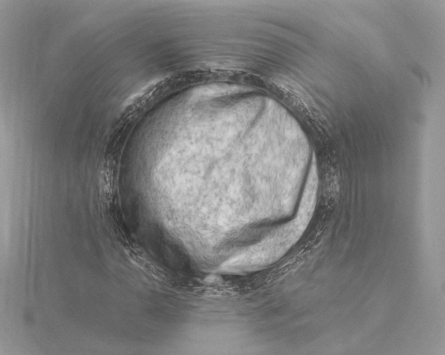 X0000115841110200912041703