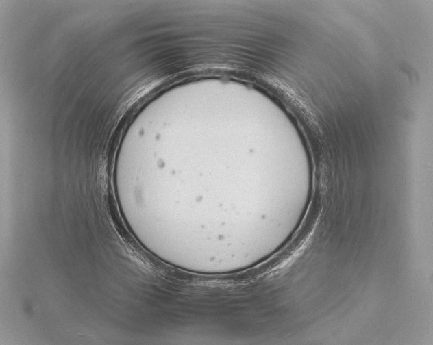 X0000115841113200912041703