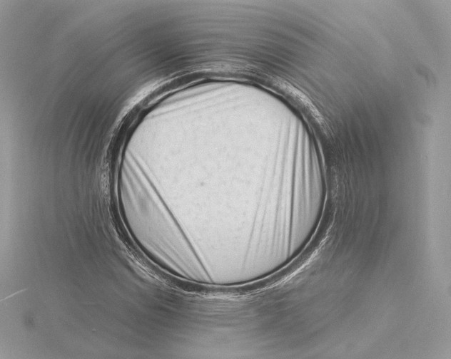 X0000115841114200912041703