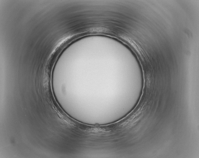 X0000115841115200912041703