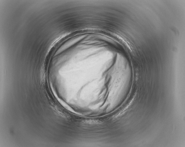 X0000115841117200912041703