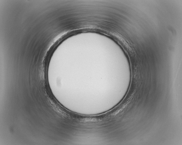 X0000115841118200912041703