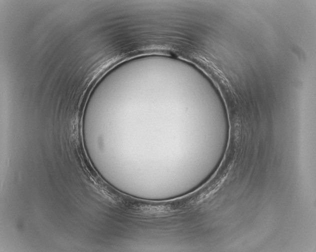 X0000115841121200912041703