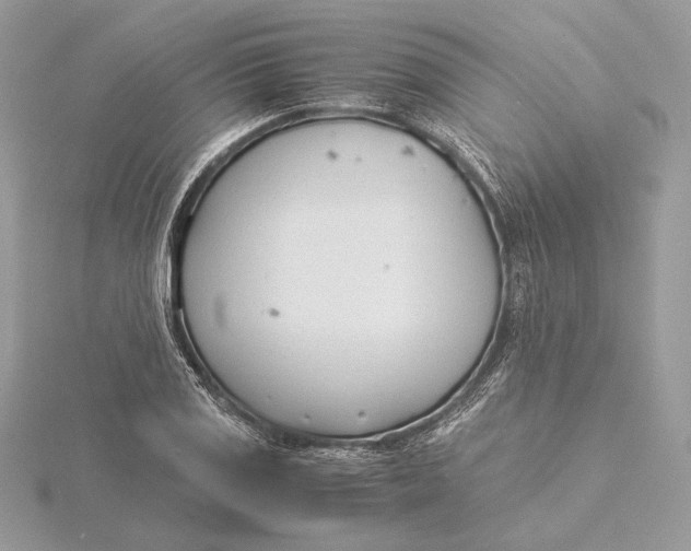 X0000115841125200912041703