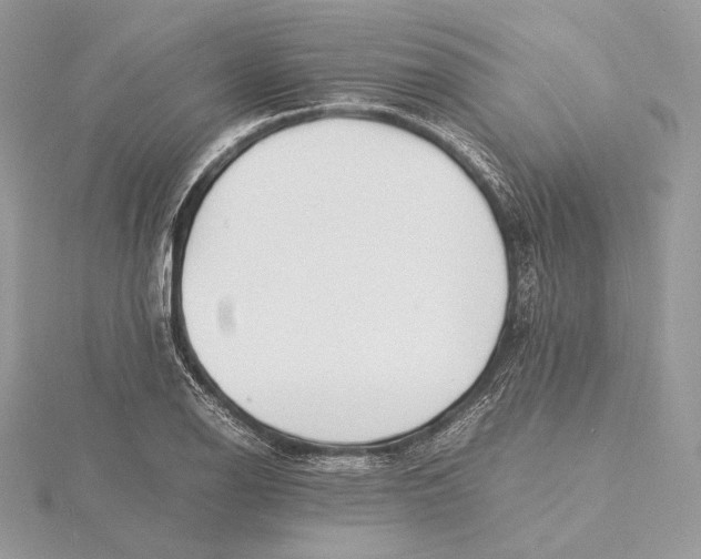 X0000115841126200912041703