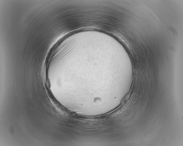 X0000115841127200912041703