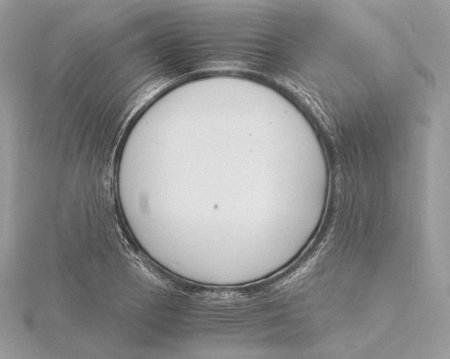 X0000115841129200912041703