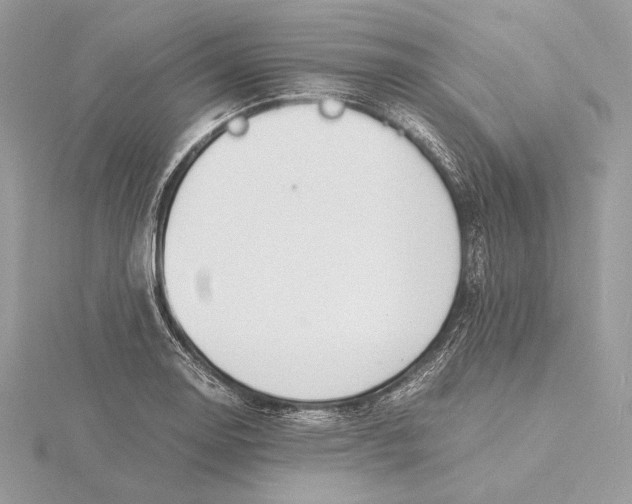 X0000115841130200912041703