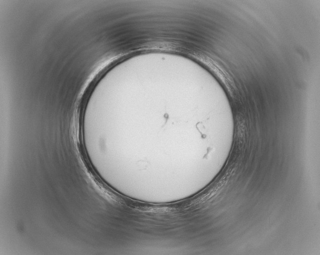 X0000115841131200912041703