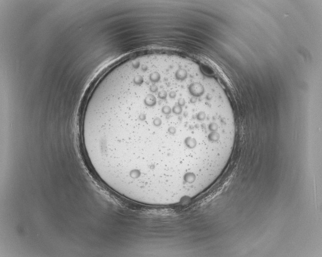 X0000115841133200912041703