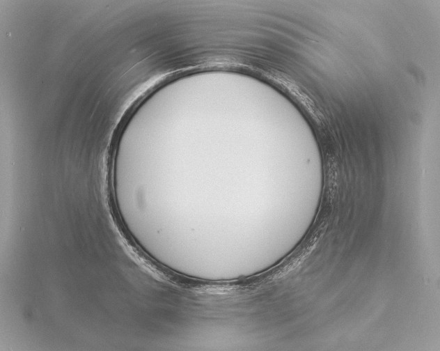 X0000115841134200912041703