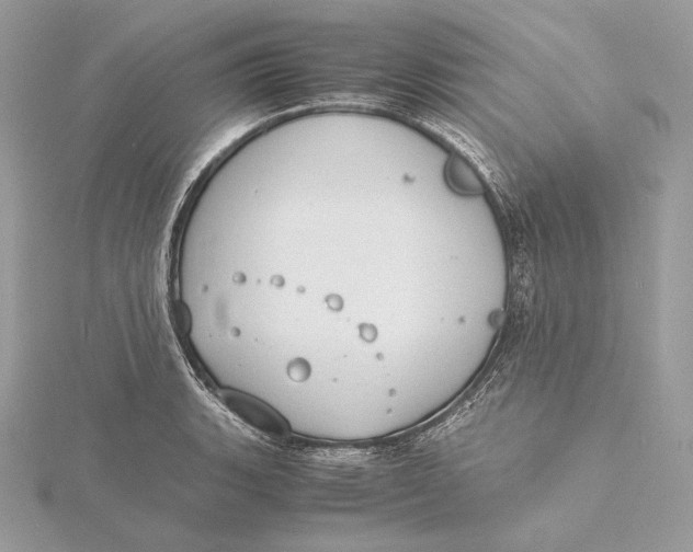 X0000115841135200912041703