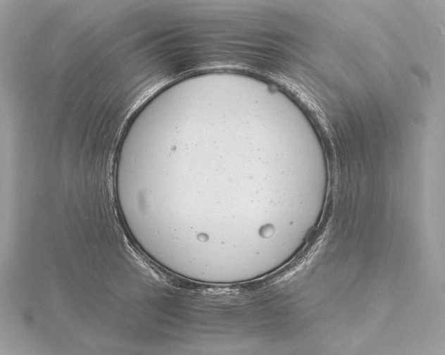 X0000115841137200912041703